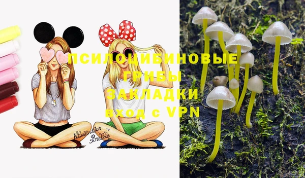 дурь Алзамай