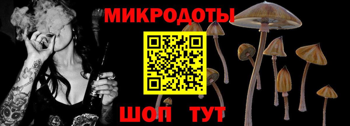 Майский  Галлюциногенные грибы ЛСД  Псилоцибиновые грибы Psilocybine cubensis  хочу   Вход с VPN 